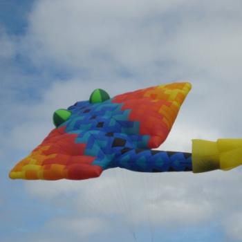 <b>At Rosebud Kite Fest last weekend</b>