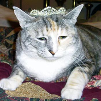 <b>HRH Miss Nosey of Denton, TX</b>