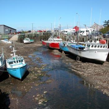 <b>low tide at Hall's Harbour, Nova Scotia, Canada. The tides along the Bay of Fundy are 8-11 meters high.</b>