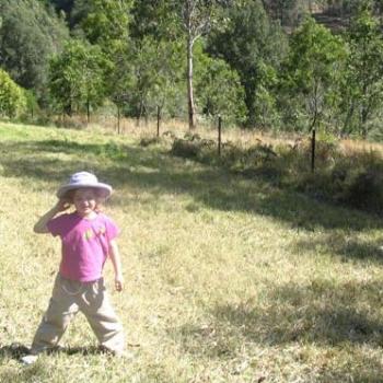 <b>Leia at the Tree Farm</b>