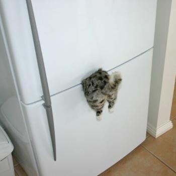 <b>Refrigerator magnet for all you "cat lovers"</b>