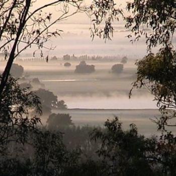 Misty Lowlands