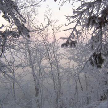 <b>Frosty morning at lake.</b>