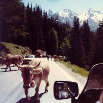 <b>Traffic Jam</b>