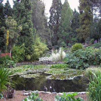 Botanic Gardens Hobart Tasmania