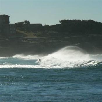 <b>Wave Rider at Bronte</b>