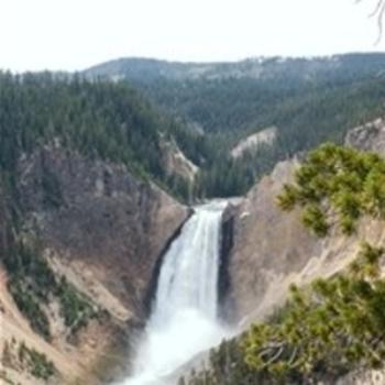 Lower Falls, Yellowstone Park