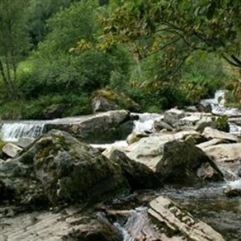 <b>Stream from Twindefossen Waterfall, Norway</b>