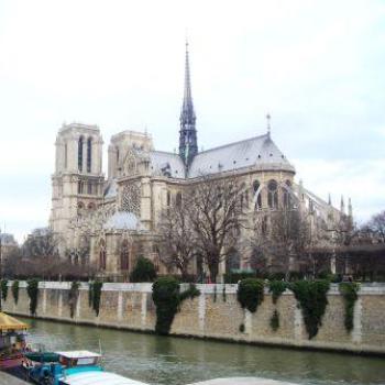 <b>The back of Notre Dame  Sue/Ok</b>