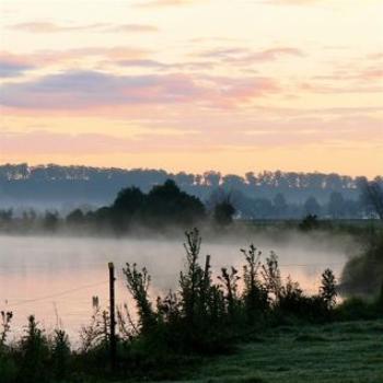 <b>Morning Mist</b>