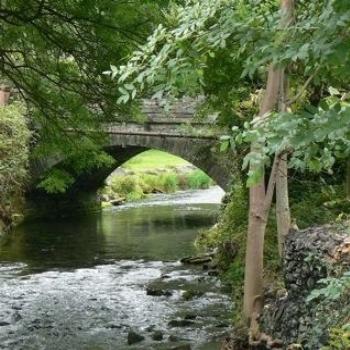 A Small Welsh Stream (Ian/Sydney)