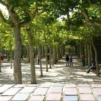 Shady Walkway, Darmstadt, Germany (Ian/Sydney)