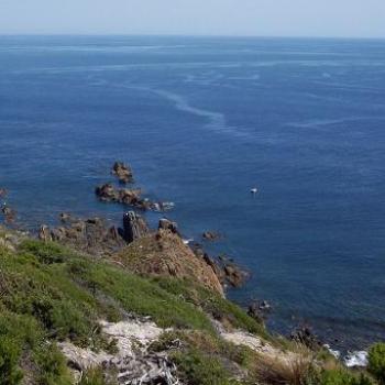 looking out from Cape Liptrap towards Tasmania