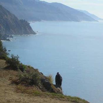 <b>Condor on Cliff, Big Sur, California</b>