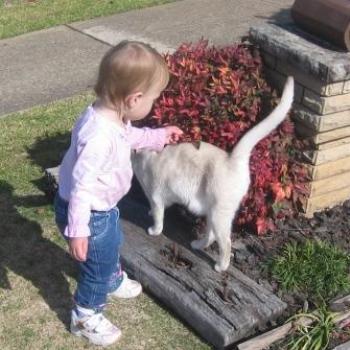 <b>Laura with neighbours cat</b>