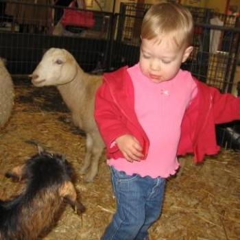 Laura with some farmyard animals