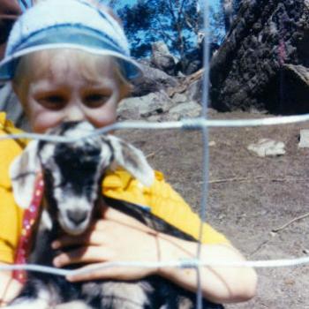 Animal shelter  Nowra  NSW 1980 Kate/Sydney