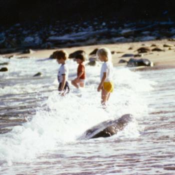 <b>Macmasters Beach NSW 1980 Kate/Sydney</b>