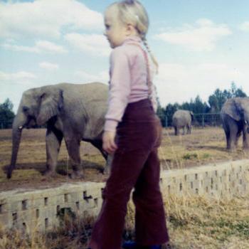 Dubbo zoo Kate/Sydney