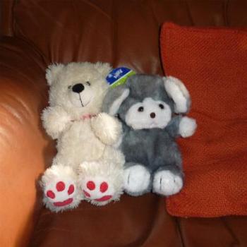 <b>I took a photo of my Teddy and Mouse (Laura)</b>