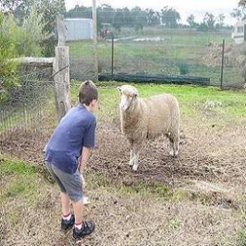 Talk to the animals, Johnathan 6yrs. (Anne/Albany)