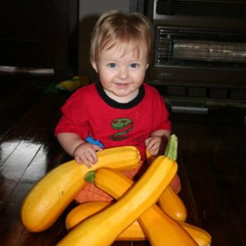 Elias surveys our bumper crop of yellow zucchini 