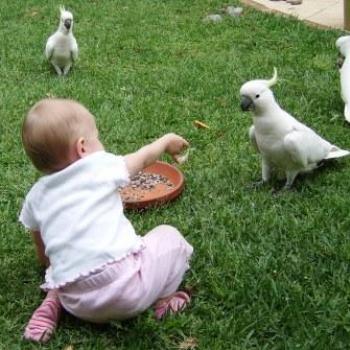 <b>Laura feeding birds at Grandma's Place</b>