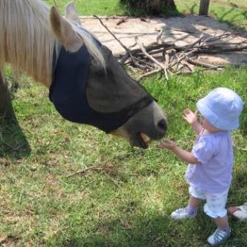 <b>Laura feeding the horse called Boy</b>