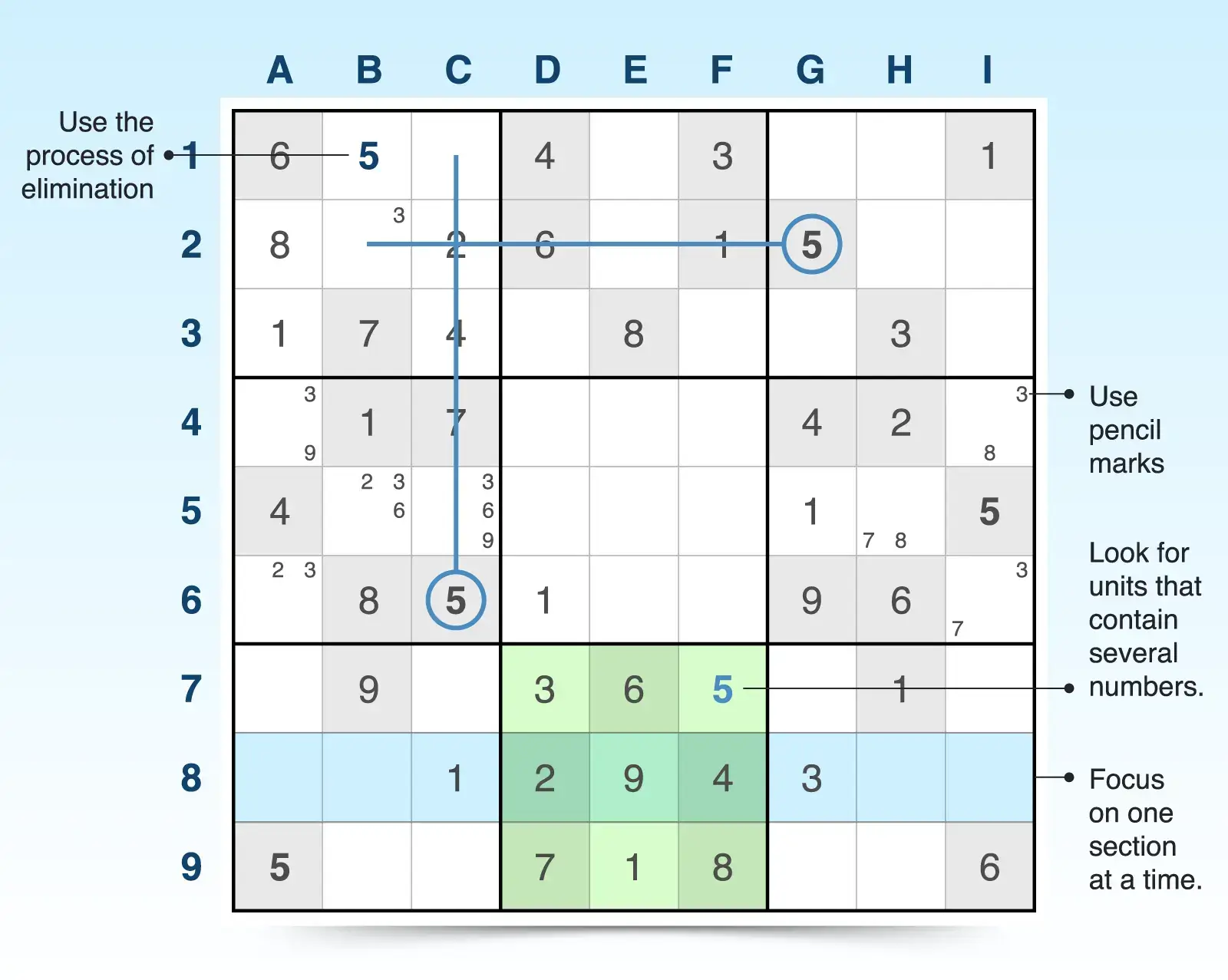 sudoku grid showing tips and examples