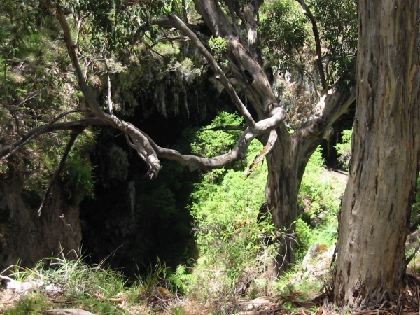 Entrance to cave at Margaret River.
