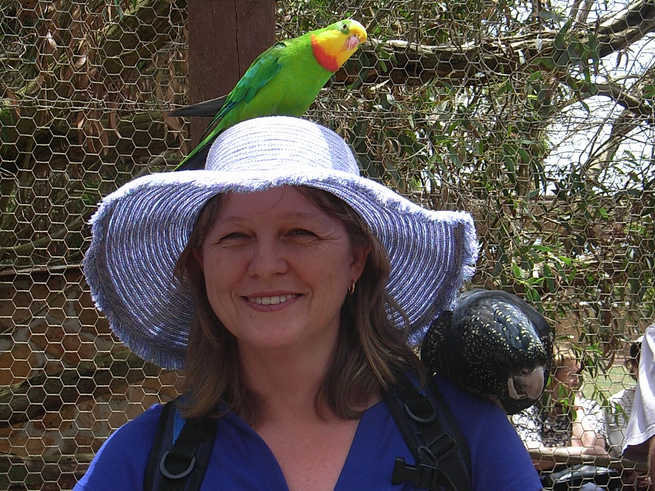 Went to a great animal sanctuary open to tourists. The black cockatoo (on my shoulder) are a protected species as they are on the endangered list. I think the parrot on my hat is called Superb Parrot but I can stand being corrected.