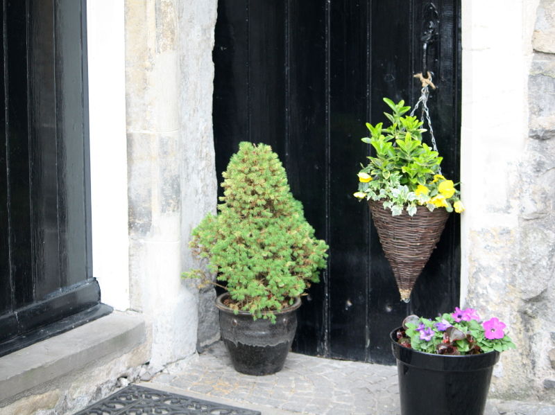 potted entrance