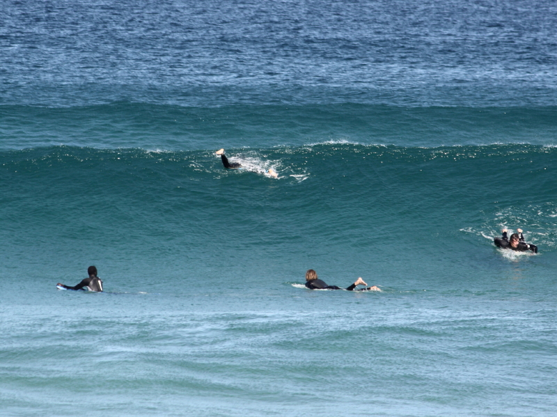 surfers waiting for the right wave, winter in Newcastle, 1pm 13th August'13