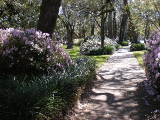 This is a section of the bike trail that I travel every day on my rides.