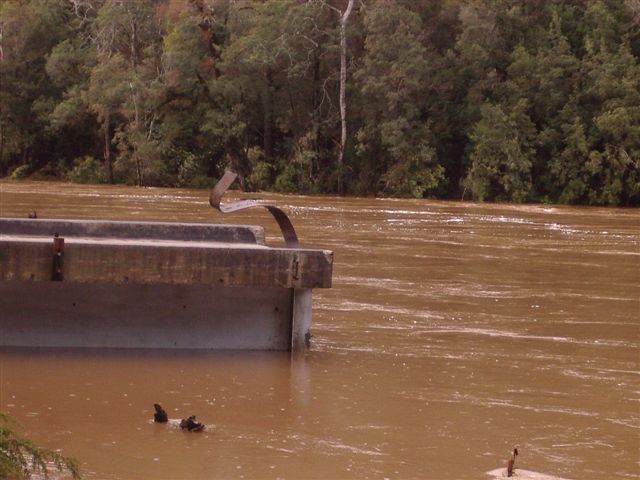 South Arthur River  11-8-2007