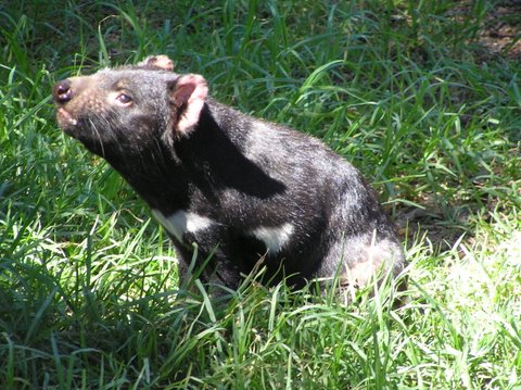 Caversham wildlife park.