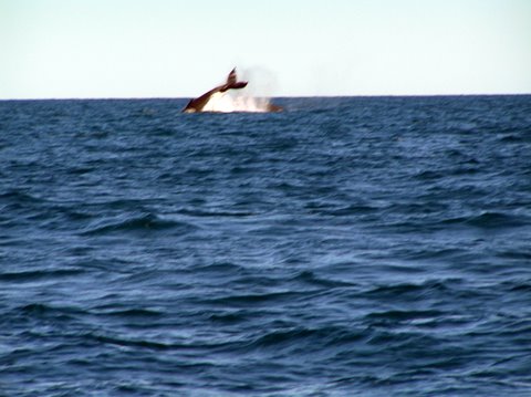 Off Broome July 2005