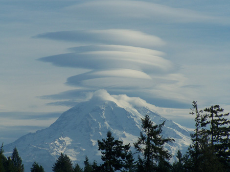 Those are called "lenticular"  clouds.  They're caused when the air flow is just right so when it flows over Mt. Rainier, the air gets pushed upward where it cools and condenses into clouds.