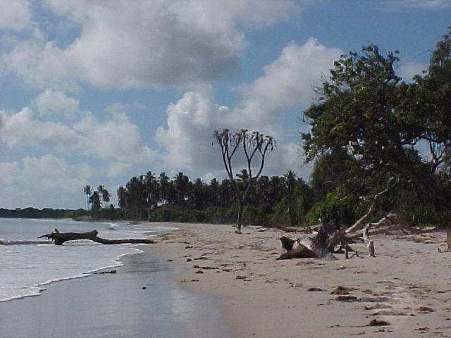 South of Dar es Salaam, Tanzania