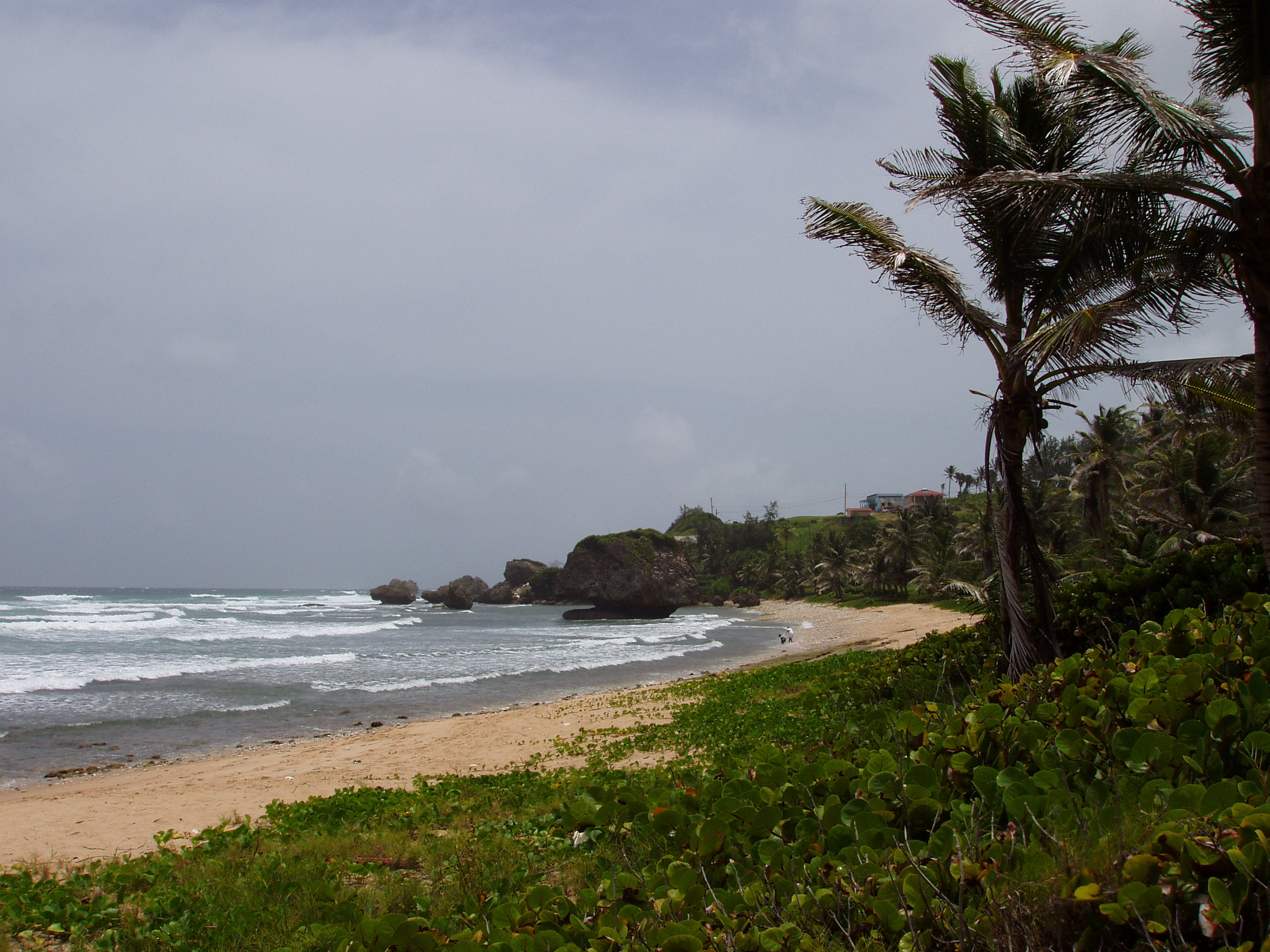 East Coast of Barbados, the "Soup Bowl".  High surf area.