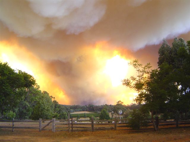 This was our place burning - pic taken from a property four kms away.  