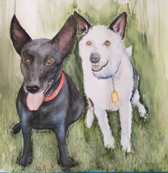 Painting of Emily's dogs, Diesel and Sylvester done in watercolours by a friend for Em's 18th birthday in Nov 2019.  She'll love ut!!