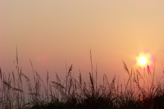 sunrise on the beach