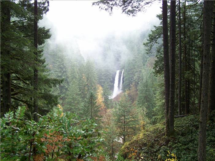 There was beauty around me everywhere I looked!  Though it was raining, I think the mist adds to the beauty of these pictures.