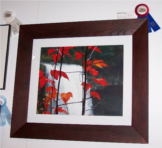 Here is a photo of my prize-winning entry, "Autumn Leaves at Silver Falls State Park". You can see a larger picture of this in my gallery here.