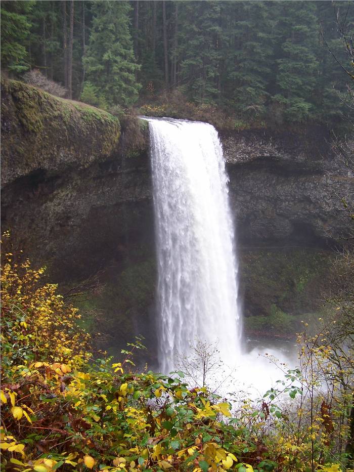 This is a picture of the largest waterfall in Silver Falls State Park in Oregon. Can you hear it?  I have another picture of it in my gallery which shows it faded out behind some gorgeous fall leaves.