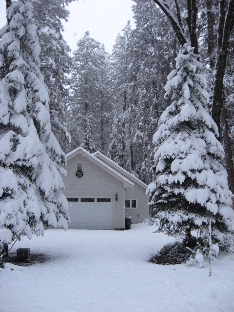 Looking from the street down our driveway