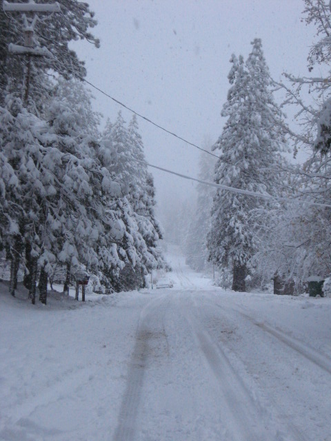 Looking down our street