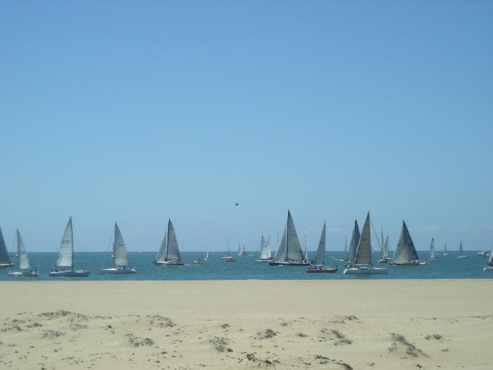 Sail boats lining up for the Newport-Ensanada race