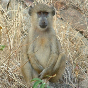 Nairobi, Kenya